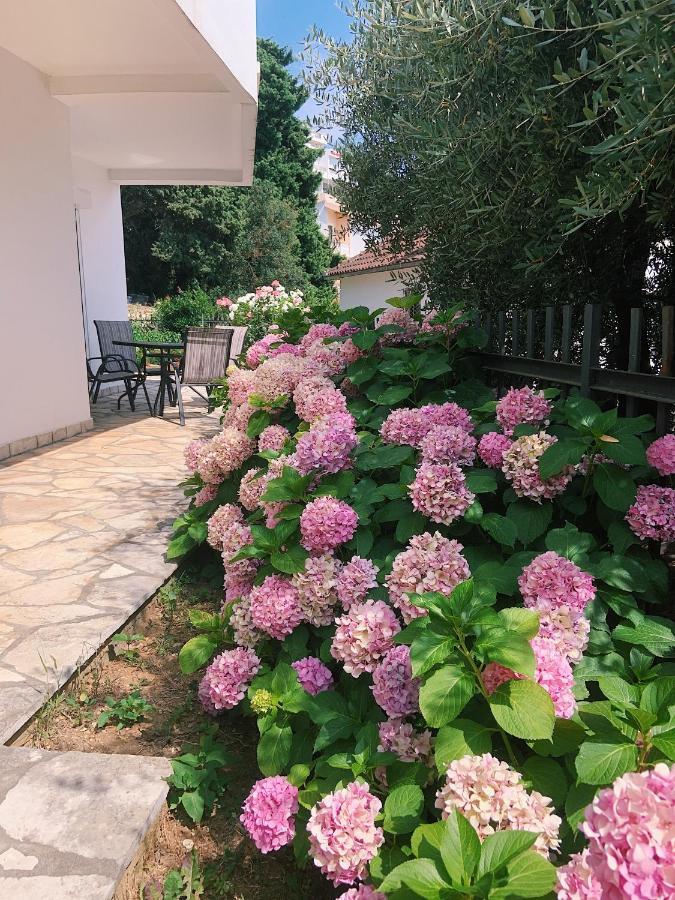 Apartments Hollaj Ulcinj Ngoại thất bức ảnh